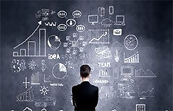 荷兰商学院MBA《信息管理—大数据时代的商业创新》