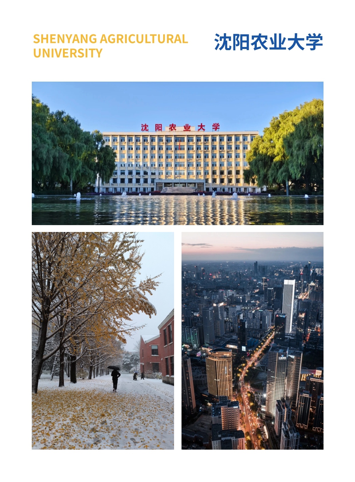 沈阳农业大学与匈牙利赛格德大学 农村发展硕士