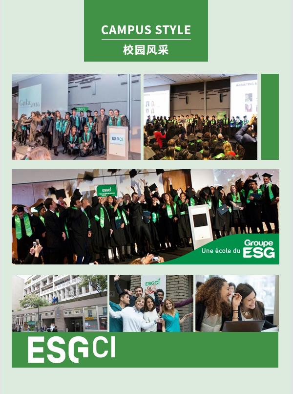 法国ESGCI 高等国际贸易与管理学院DBA
