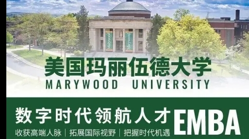 玛丽伍德大学数字时代领航人才EMBA