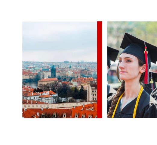 美国伊利诺伊理工大学工商管理硕士IIT MBA简章